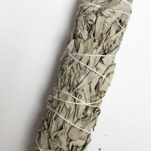 California White Sage bundle 9 inch