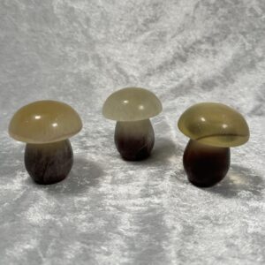 Fluorite Toadstools / Mushrooms